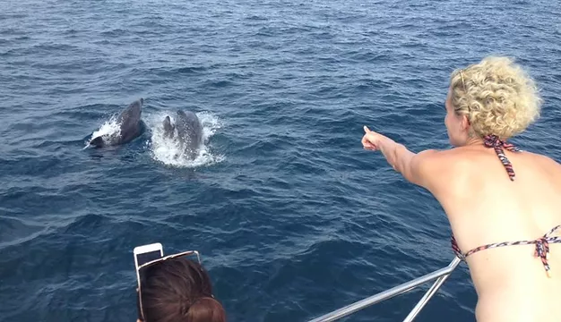 Private boat charter Lagos - comparing private vs group boat tours