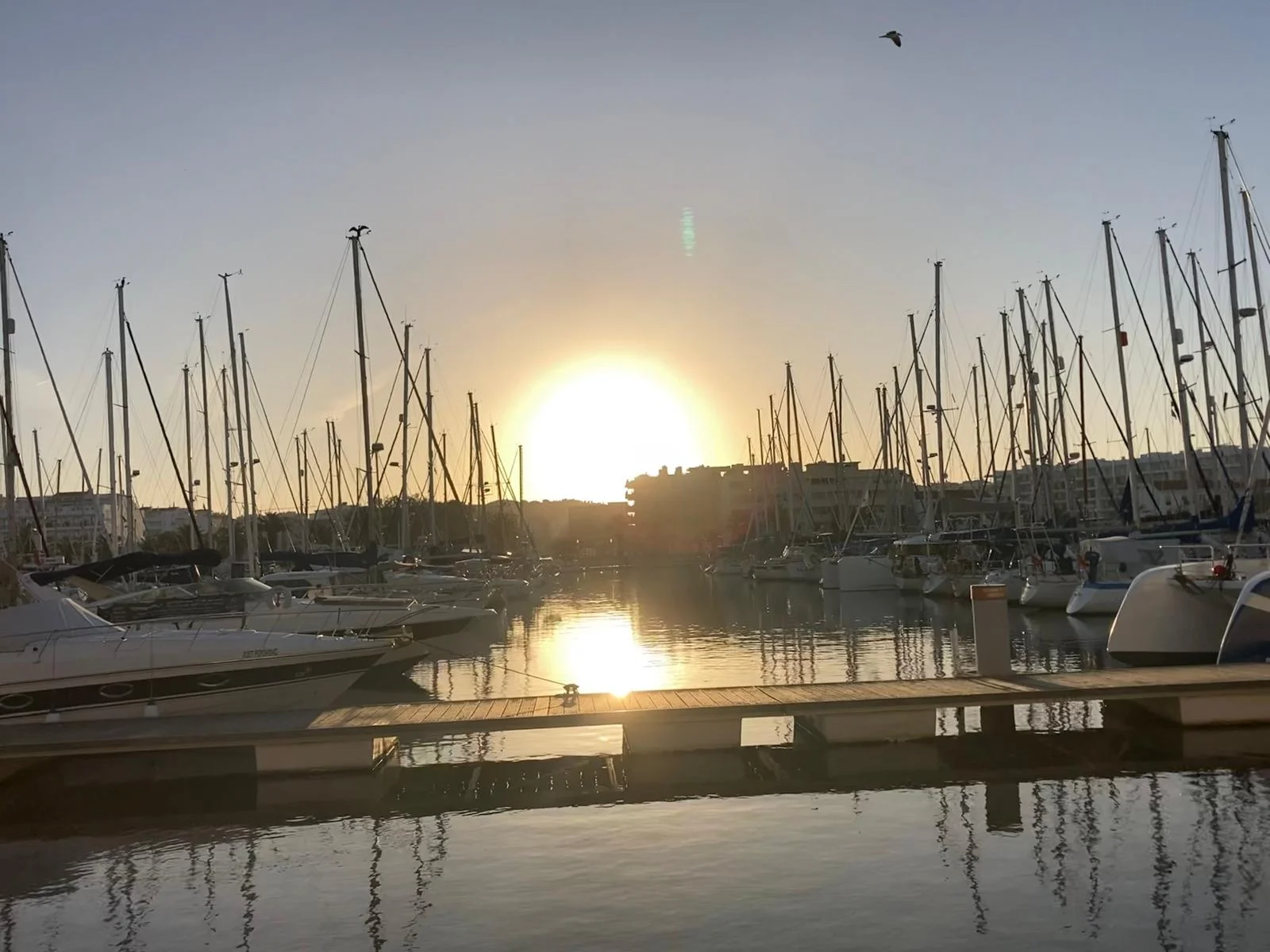 Evening Sunset Cruise